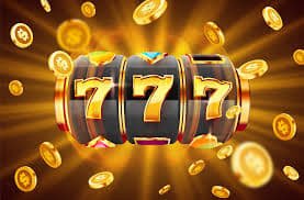 23win6