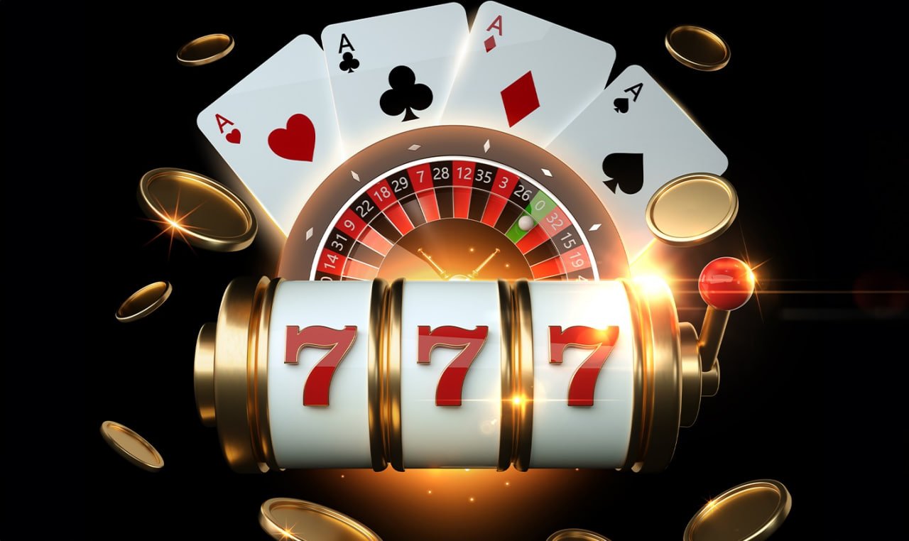23win6